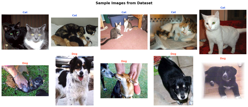Image Classifier (Cat vs Dog) case study