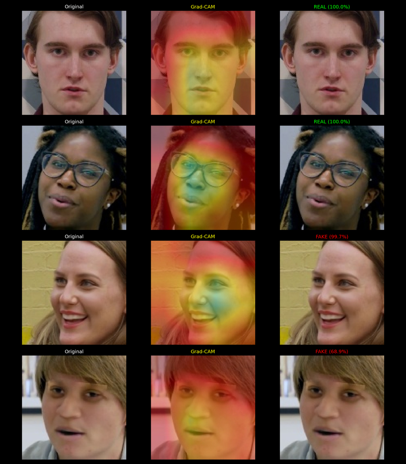 Deepfake Detection System output 2